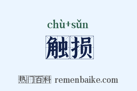 触损是什么意思的图片